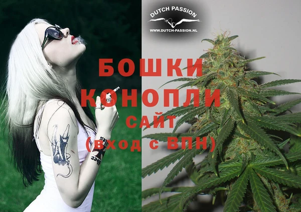 сатива Белокуриха