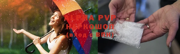 сатива Белокуриха