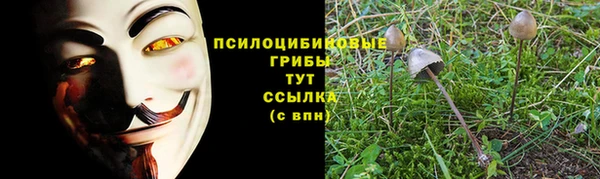 марки lsd Беломорск
