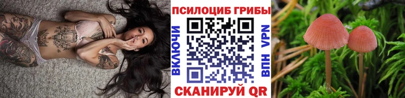 где продают   Тюкалинск  hydra вход  Псилоцибиновые грибы мицелий 